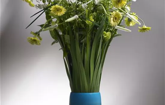 Die Blumen in der Vase richtig in Szene gesetzt