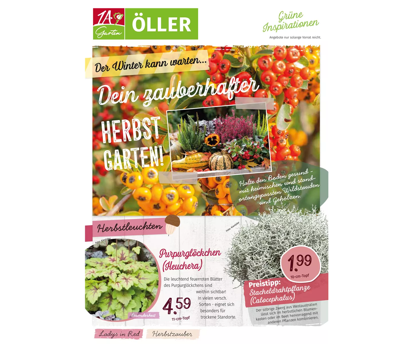 Unsere Herbstbeilage (gültig ab dem 01.Oktober)